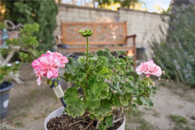 22395 Barbacoa, Saugus, CA 91350