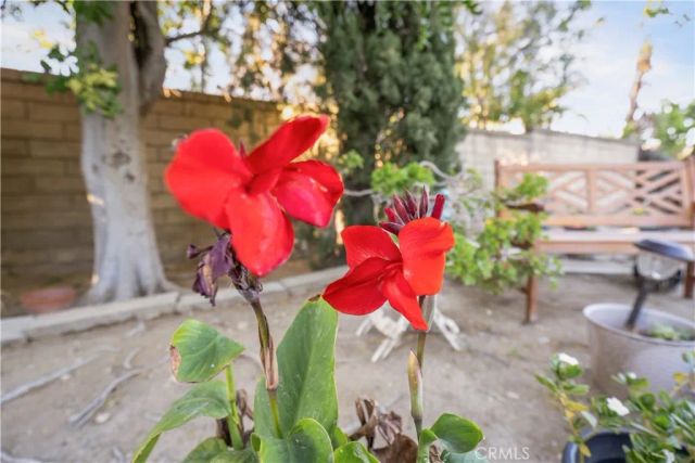 22395 Barbacoa, Saugus, CA 91350