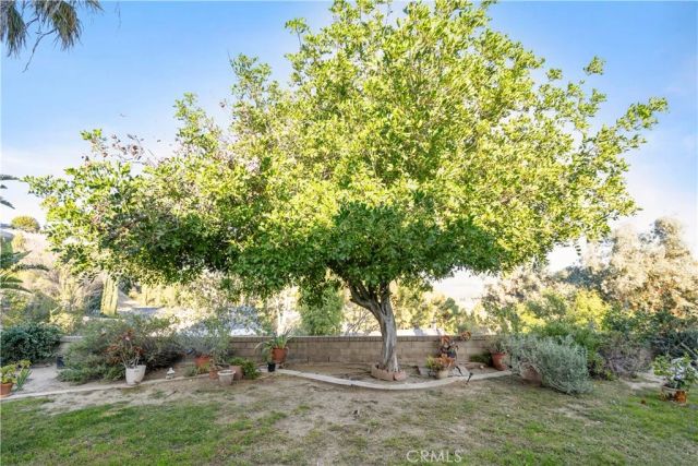 22395 Barbacoa, Saugus, CA 91350