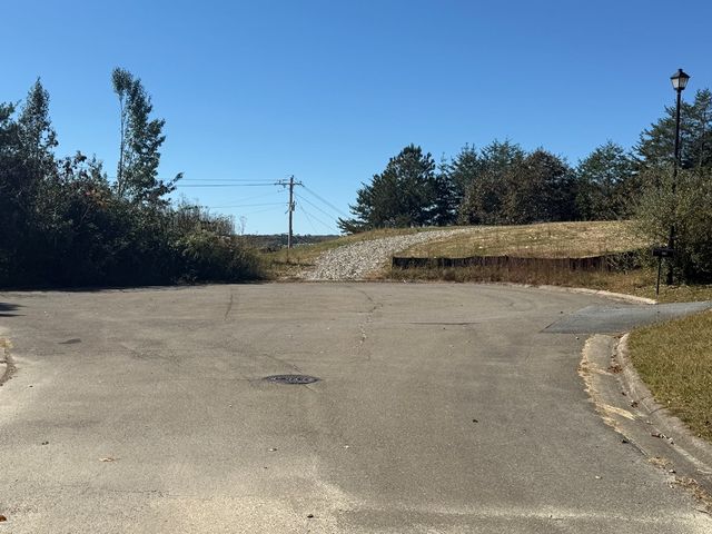 Lot 11 Lindsey Lane, Blue Ridge, GA 30513