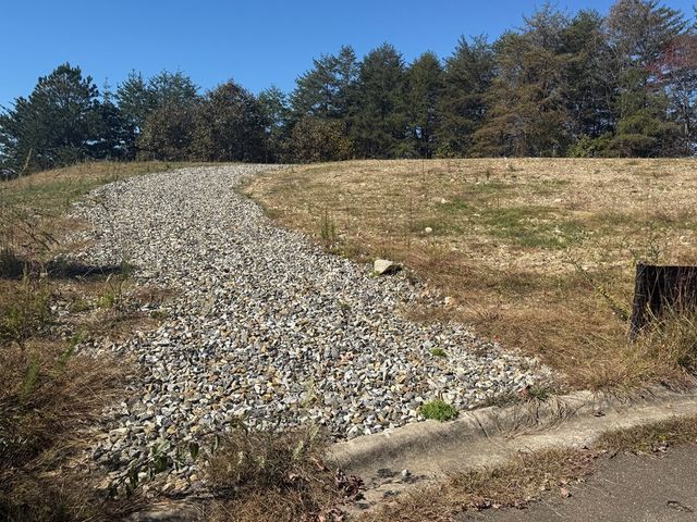 Lot 11 Lindsey Lane, Blue Ridge, GA 30513