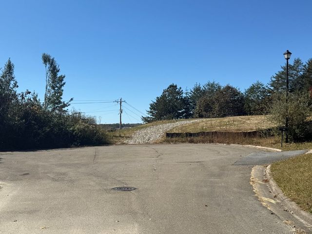 Lot 11 Lindsey Lane, Blue Ridge, GA 30513