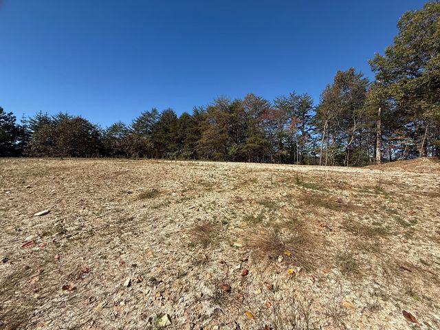 Lot 11 Lindsey Lane, Blue Ridge, GA 30513
