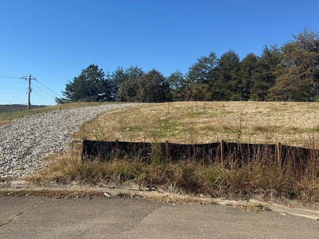 Lot 11 Lindsey Lane, Blue Ridge, GA 30513