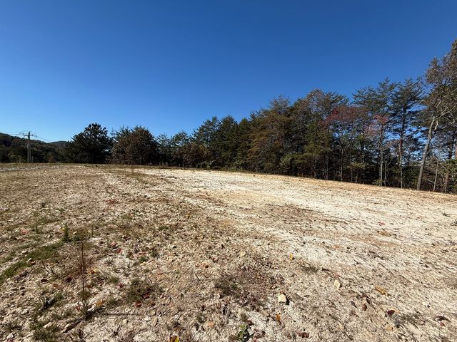 Lot 11 Lindsey Lane, Blue Ridge, GA 30513