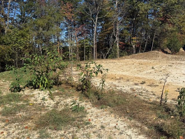 Lot 11 Lindsey Lane, Blue Ridge, GA 30513