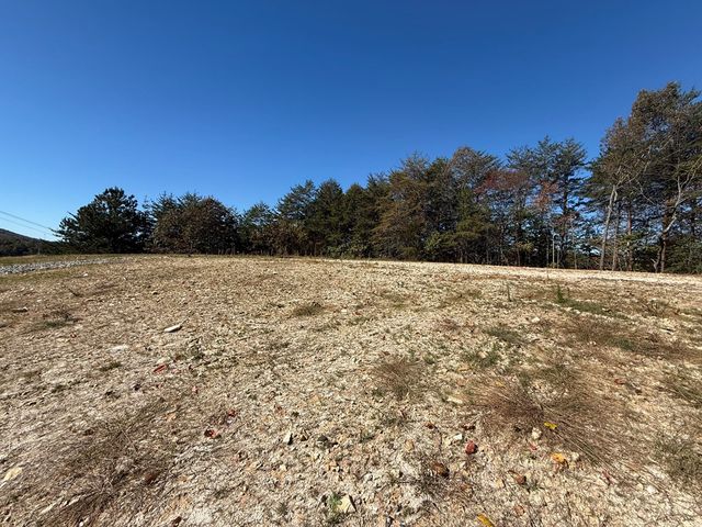 Lot 11 Lindsey Lane, Blue Ridge, GA 30513