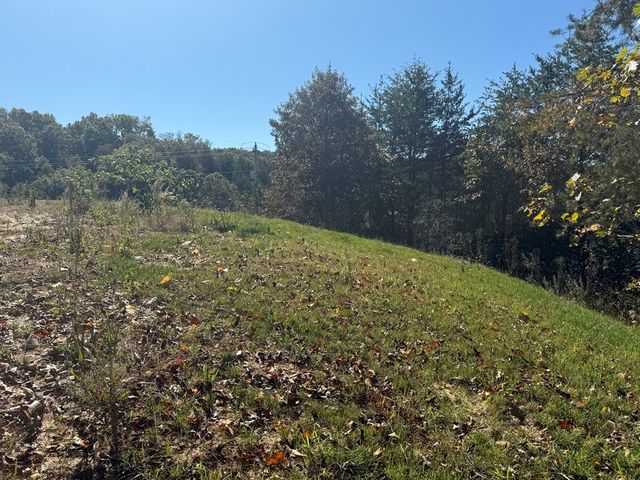 Lot 11 Lindsey Lane, Blue Ridge, GA 30513