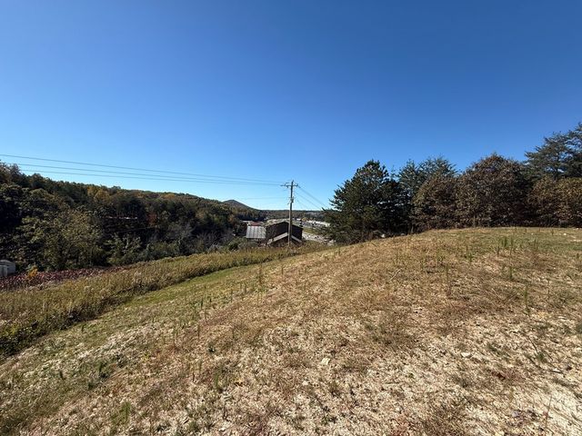 Lot 11 Lindsey Lane, Blue Ridge, GA 30513