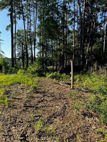 LT Creekside Harbor, Onalaska, TX 77360