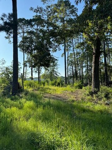 LT Creekside Harbor, Onalaska, TX 77360