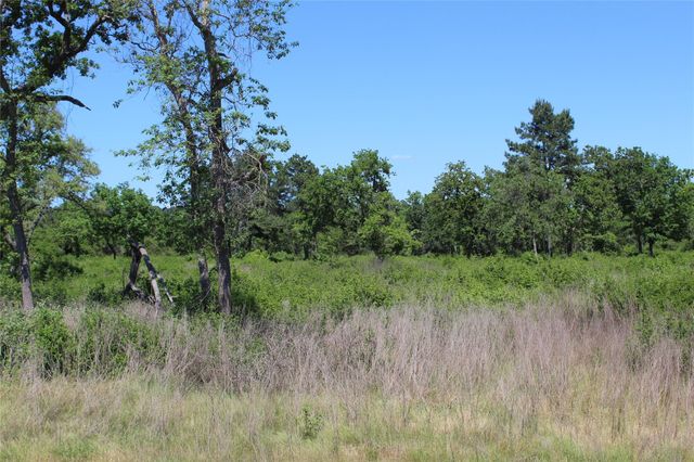 TR 53 Pr 1315 Road, Centerville, TX 75833