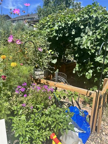 4593 Colorado River Drive, Firestone, CO 80504