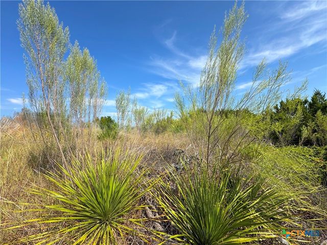 849 Scenic Hills Drive, Canyon Lake, TX 78133