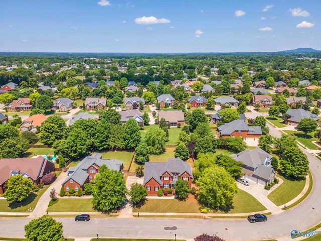 110 Wickerberry Lane, Madison, AL 35756