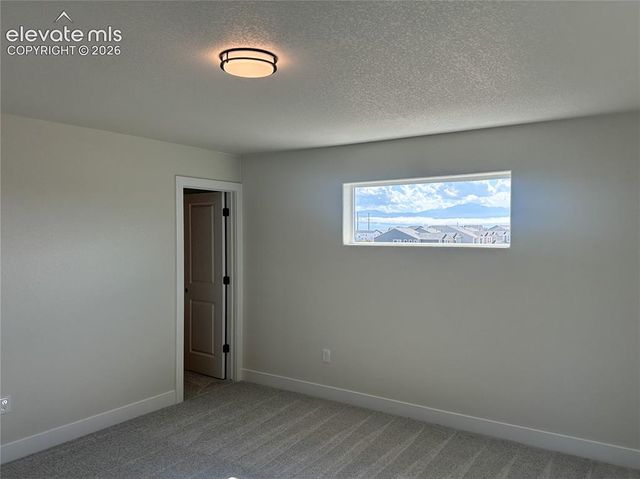 8214 Lemon Grass Road, Falcon, CO 80831