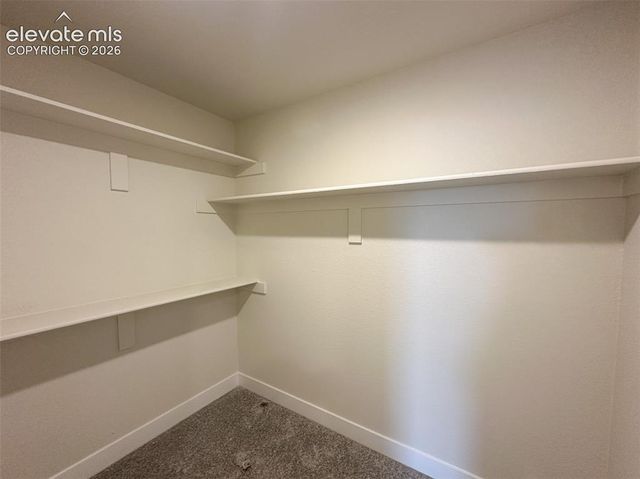 8214 Lemon Grass Road, Falcon, CO 80831
