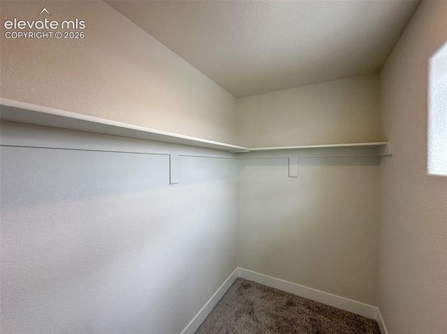 8214 Lemon Grass Road, Falcon, CO 80831