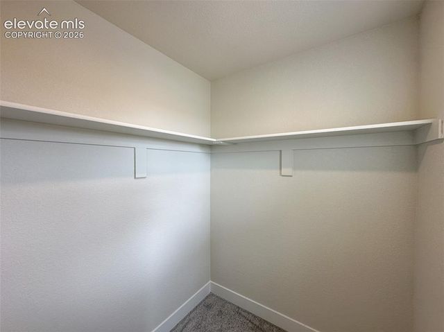 8214 Lemon Grass Road, Falcon, CO 80831