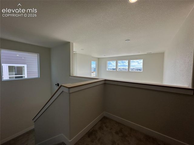 8214 Lemon Grass Road, Falcon, CO 80831