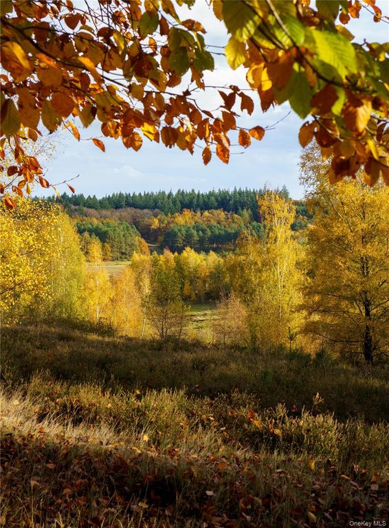 10 Hideaway Place, Beacon, NY 12508