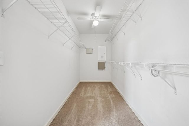 2508 Calumet Street E, Houston, TX 77004