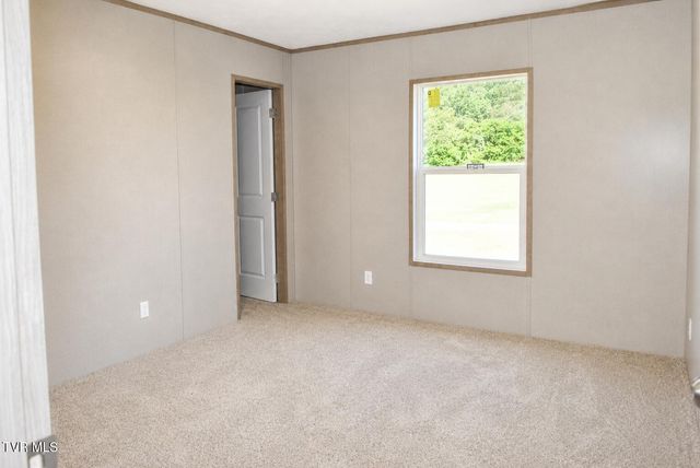 105 Wedding Lane, Chuckey, TN 37641