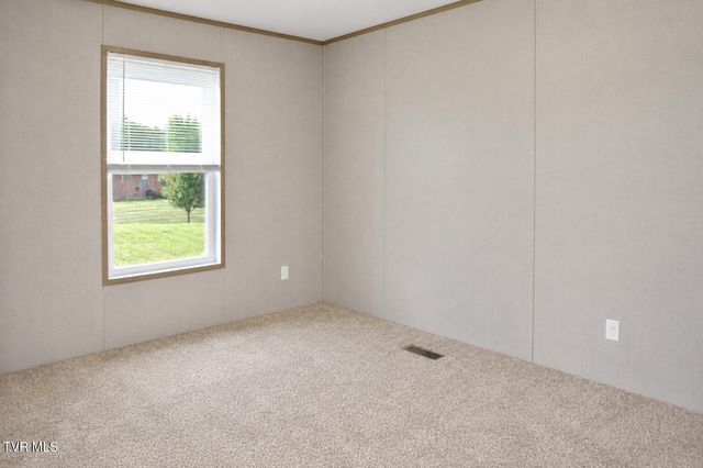 105 Wedding Lane, Chuckey, TN 37641
