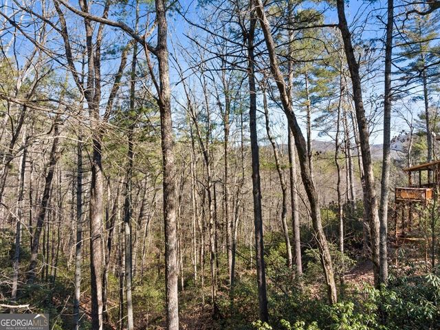 16 Dean Court, Cherry Log, GA 30522