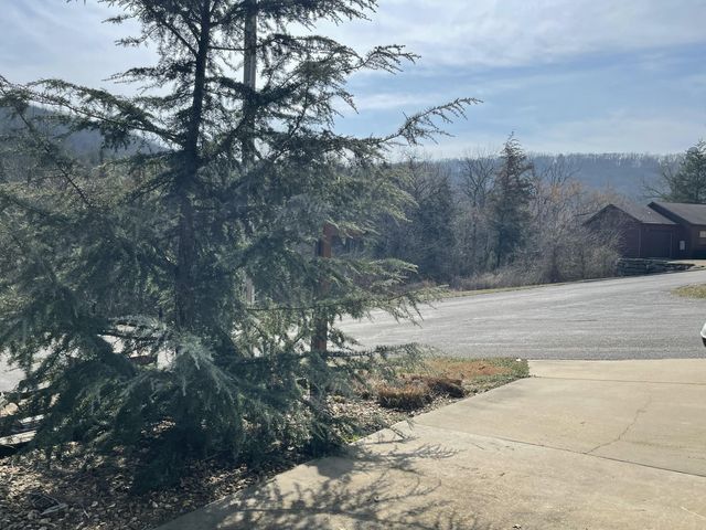 110 Pioneer Way, Hollister, MO 65672