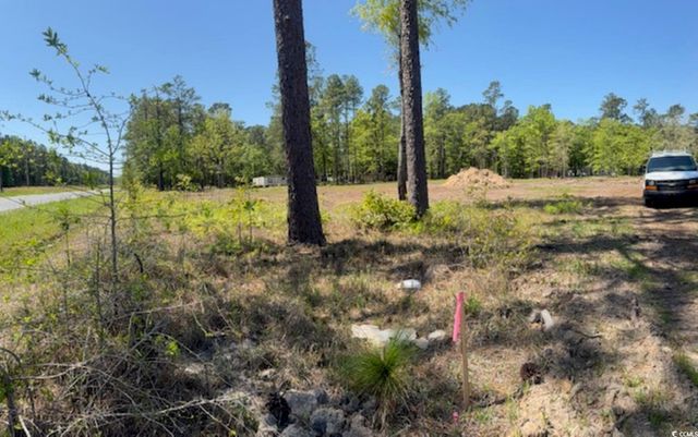 TBD Johnson Rd., Georgetown, SC 29440