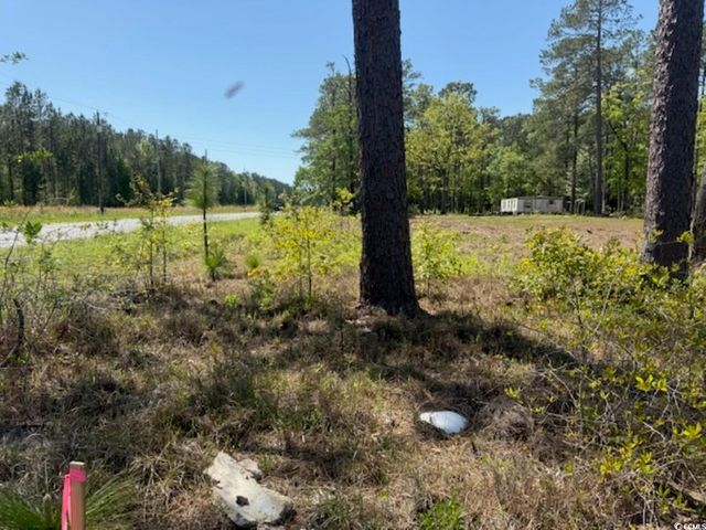 TBD Johnson Rd., Georgetown, SC 29440
