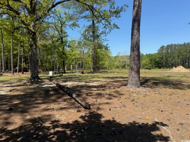 TBD Johnson Rd., Georgetown, SC 29440