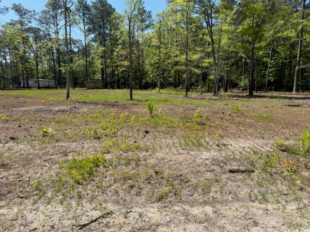 TBD Johnson Rd., Georgetown, SC 29440