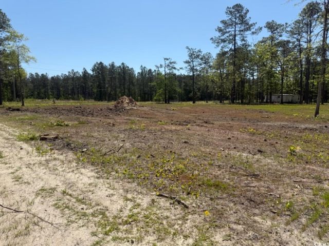TBD Johnson Rd., Georgetown, SC 29440