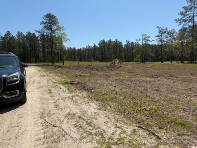 TBD Johnson Rd., Georgetown, SC 29440