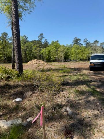 TBD Johnson Rd., Georgetown, SC 29440