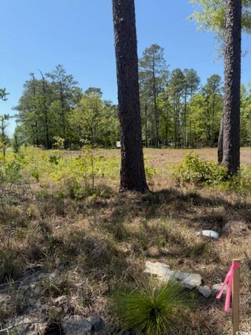 TBD Johnson Rd., Georgetown, SC 29440