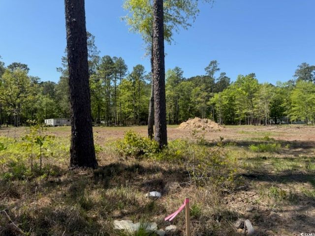 TBD Johnson Rd., Georgetown, SC 29440