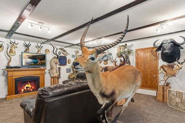 38630 US Highway 169, Saint Peter, MN 56082