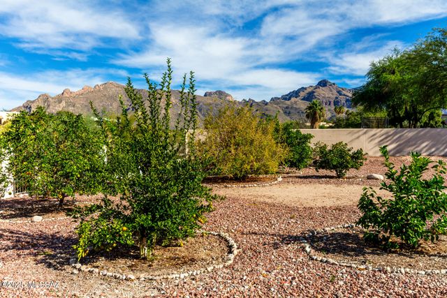 6697 N Shadow Run Drive, Tucson, AZ 85704