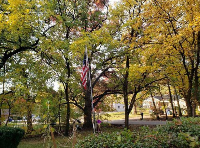 9215 S 83rd Avenue, Hickory Hills, IL 60457