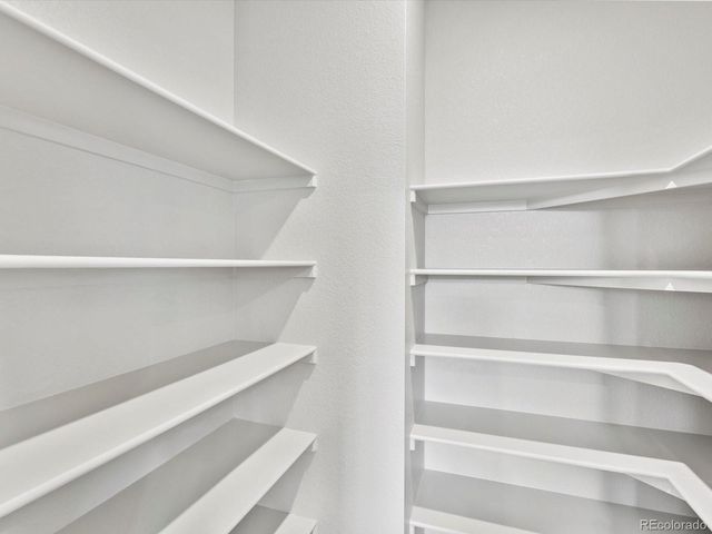 1607 Nathan River Drive, Windsor, CO 80550