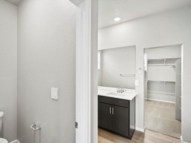 1607 Nathan River Drive, Windsor, CO 80550