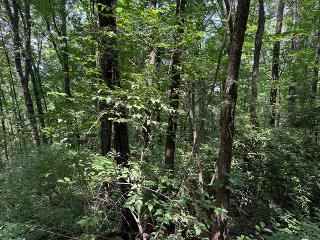 0 Wheeler Avenue, Chattanooga, TN 37404