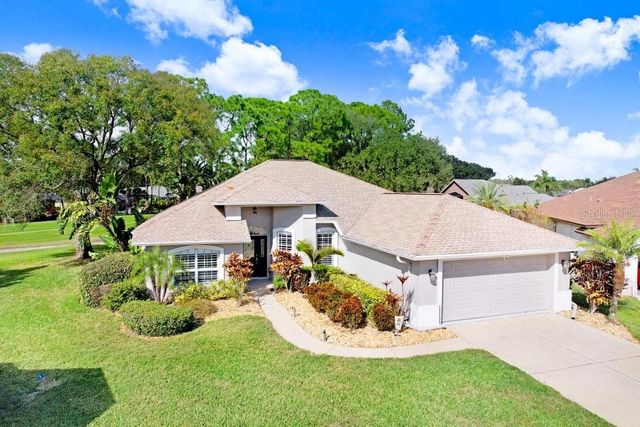 5302 WATERLEAF COURT, Valrico, FL 33596