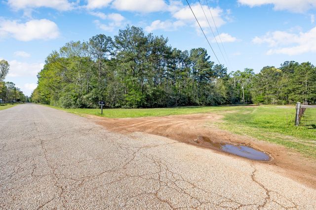 8441 Adcock Acres Drive, Conroe, TX 77303