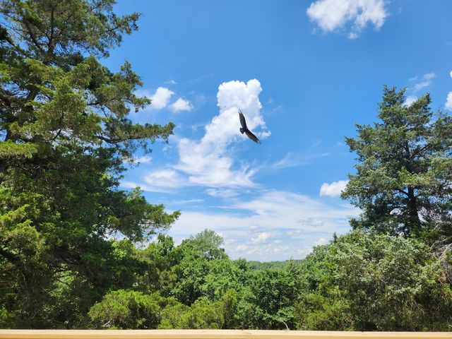 41 Skyline Drive, Kimberling City, MO 65686