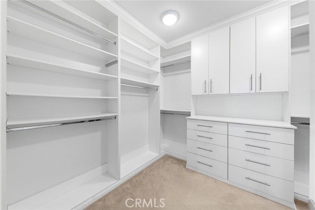 51 Thoroughbred, Irvine, CA 92602