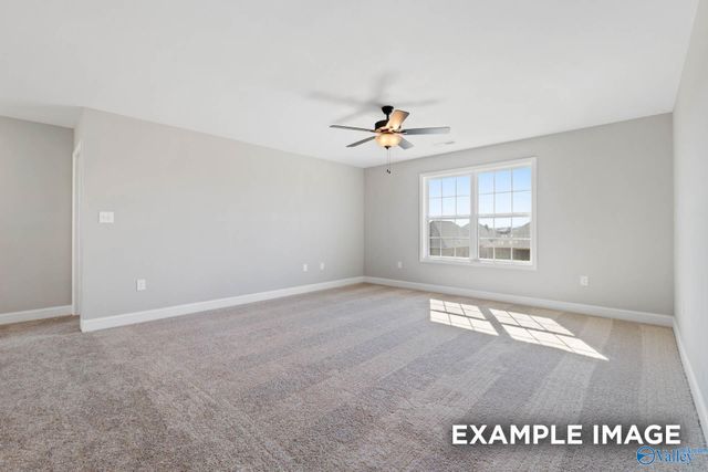 102 Labyrinth Way, Madison, AL 35756